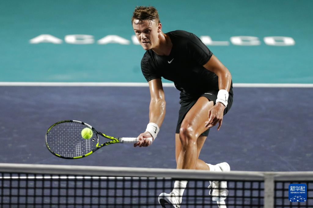 大的分量 大的分量