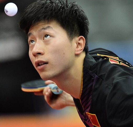 协作能力的 协作能力的